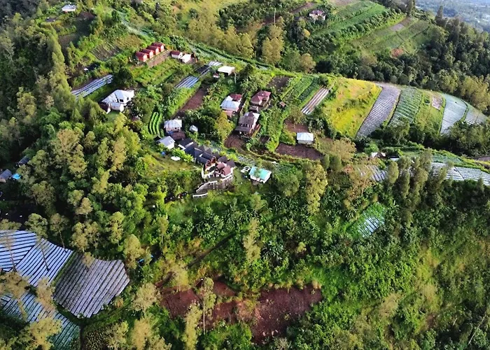 Bali Sunrise Camp & Glamping * Kintamani