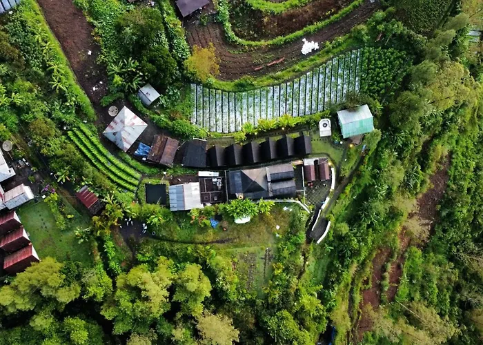 Bali Sunrise Camp & Glamping Parque de Campismo Kintamani